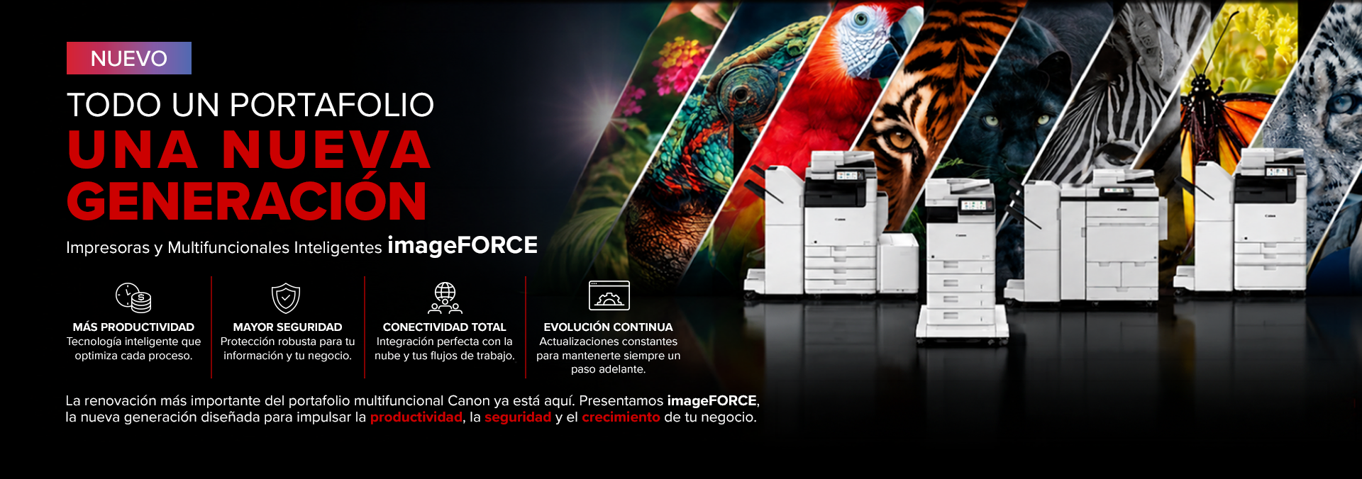Desktop-Banner-Cat-imageFORCE_1920x676px